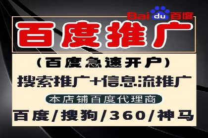 企业SEM托管代运营实战案例